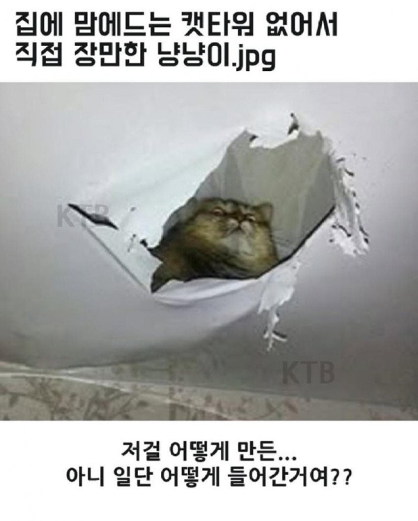 17560275882965.jpg