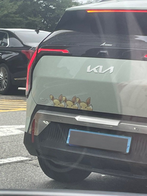 17573451704313.jpg